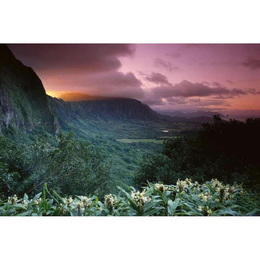 Hawaii Oahu Nuuanu Pali State Park Koolau Mountains Ginger Foreground Twilight A43G Poster Print Image 1