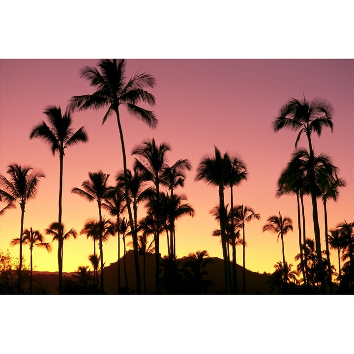 Hawaii Kauai Sleeping Giant And Coconut Grove At Sunset Silhouetted A41D Poster Print Image 1