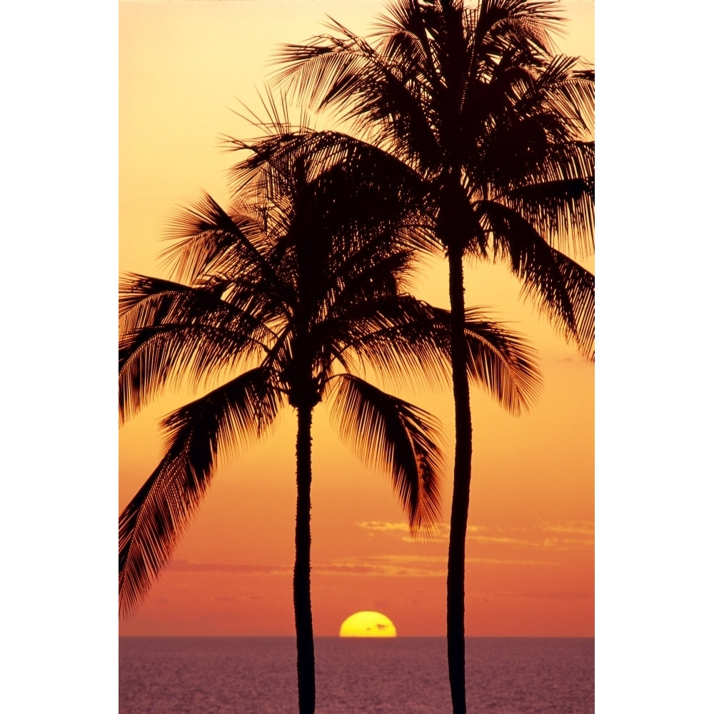 Hawaii Big Island Sunset With Coconut Trees Kohala Coast B1557 Poster Print Image 1