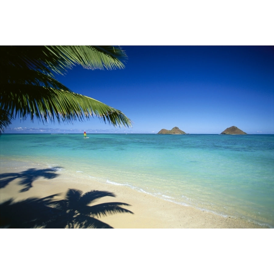 Hawaii Oahu Lanikai Beach Hobie Cat Sailing Near Mokulua Islands Palms C1554 Poster Print Image 1