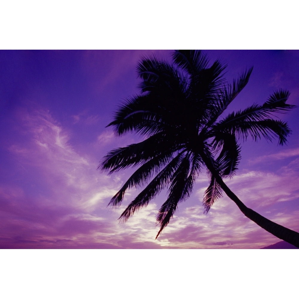 Hawaii Maui Kihei Kamaole Beach At Twilight With Purple Pink Sky Palm Tree Silhouetted D1554 Poster Print Image 1