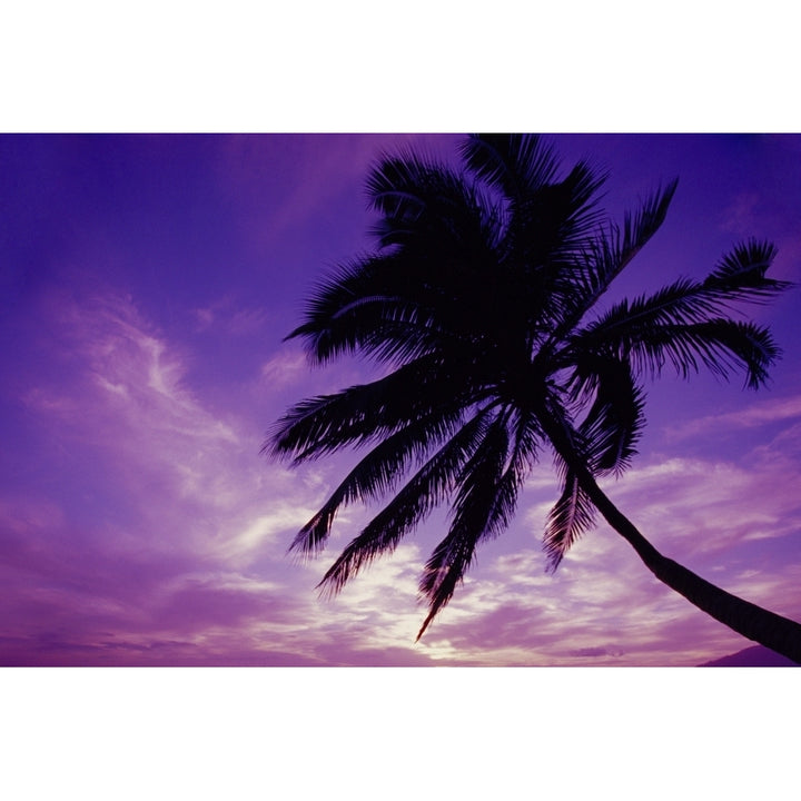 Hawaii Maui Kihei Kamaole Beach At Twilight With Purple Pink Sky Palm Tree Silhouetted D1554 Poster Print Image 2