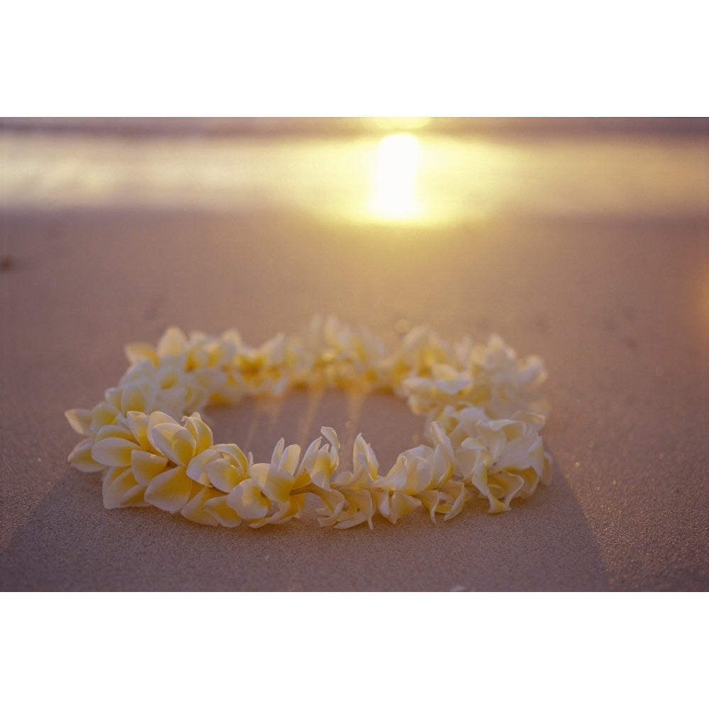 Yellow Plumeria Lei Shoreline Beach With Shadow Golden Reflections Ocean Sunset Poster Print Image 2