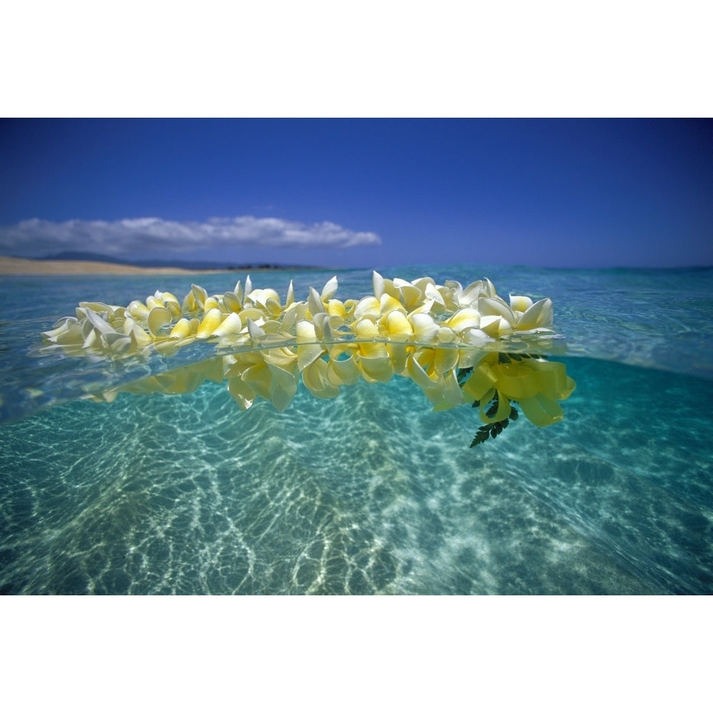 Over/Under Plumeria Lei Floating Ocean Surface Calm Turquoise Beach Distant Background Blue Sky With Clouds Image 1