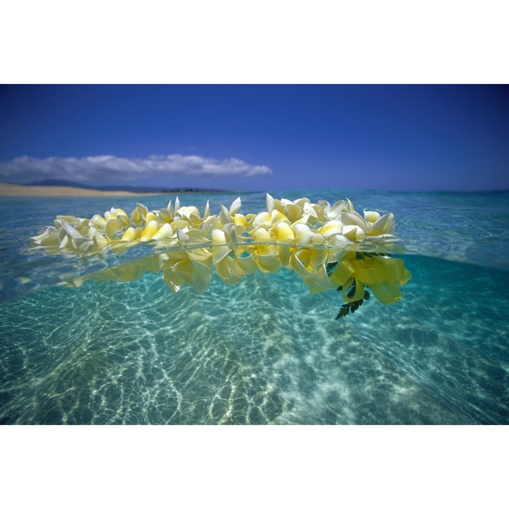 Over/Under Plumeria Lei Floating Ocean Surface Calm Turquoise Beach Distant Background Blue Sky With Clouds Image 1