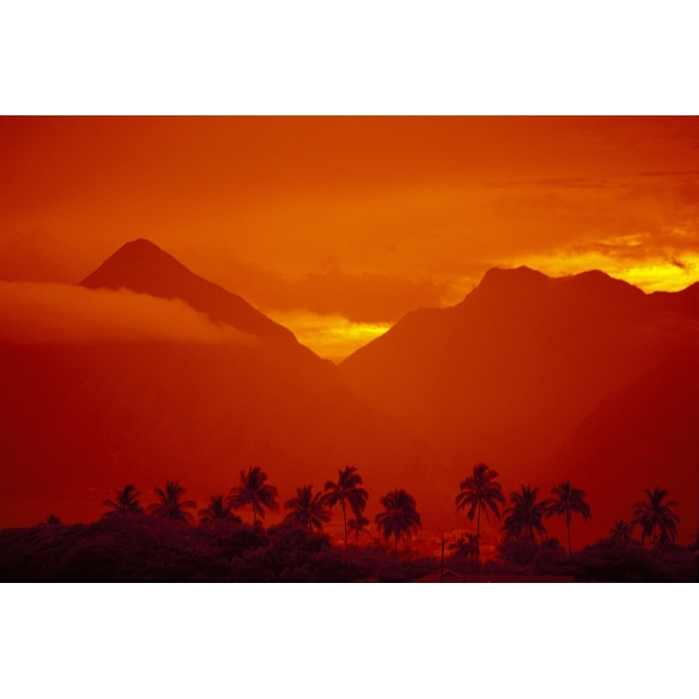 Hawaii Maui Palm Tree Silhouetted With West Maui Mountains Background Orange Filter Sky Poster Print Image 1