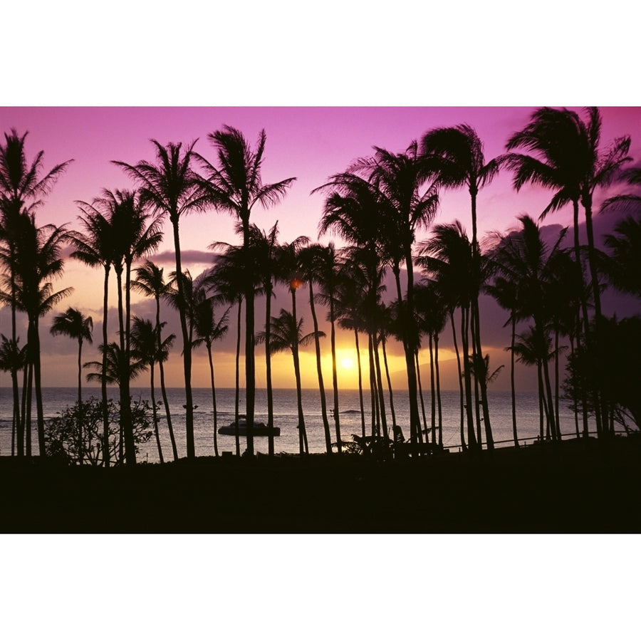 Hawaii Maui Kapalua Bay Tropical Sunset Palms Silhouette Purple And Yellow Sky Poster Print Image 1