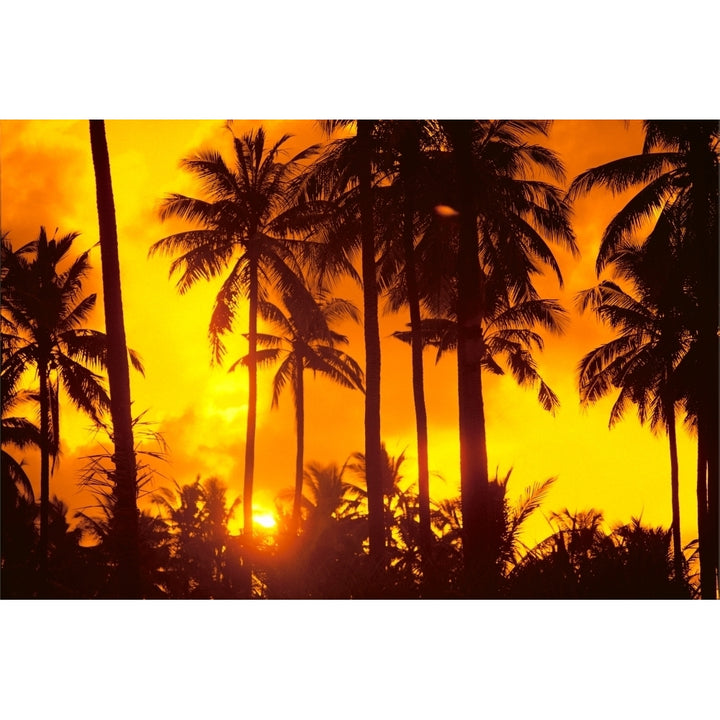 Palm Trees Silhouetted In Bright Orange Sky Sunset Poster Print Image 1