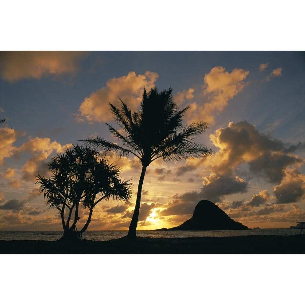 Hawaii Oahu Kualoa County Beach Park Mokolii Island At Sunrise Golden Light Palm Tree In Foreground. Image 1