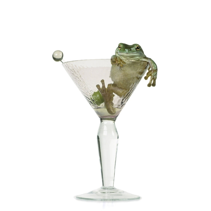 Fl6423 Natural Moments Photography; Drunken Frog In Empty Martini Glass Poster Print Image 1