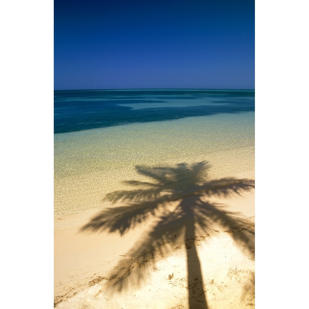 Palm Tree Shadow And Ocean Great Barrier Reef Northern Caye Belize Poster Print Image 1