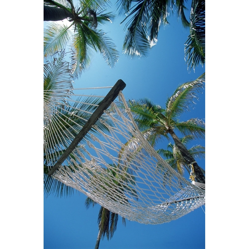 Hammock And Palm Tree Great Barrier Reef Northern Caye Belize Poster Print Image 1