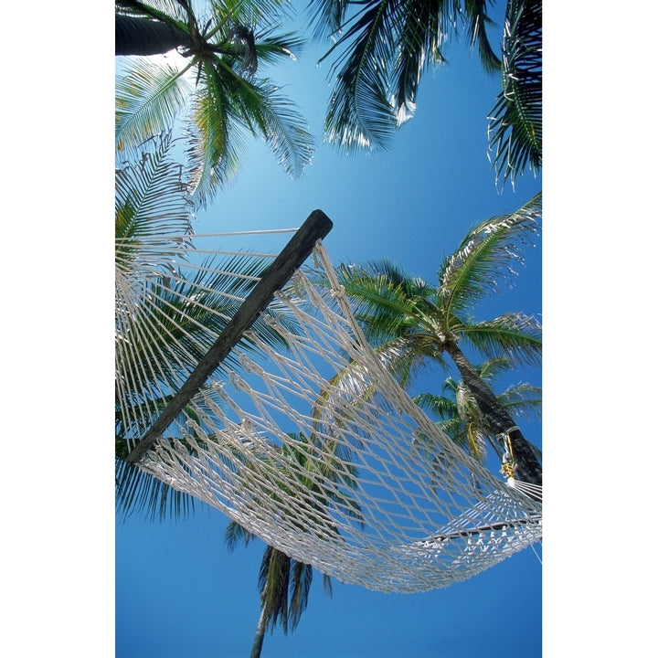 Hammock And Palm Tree Great Barrier Reef Northern Caye Belize Poster Print Image 2