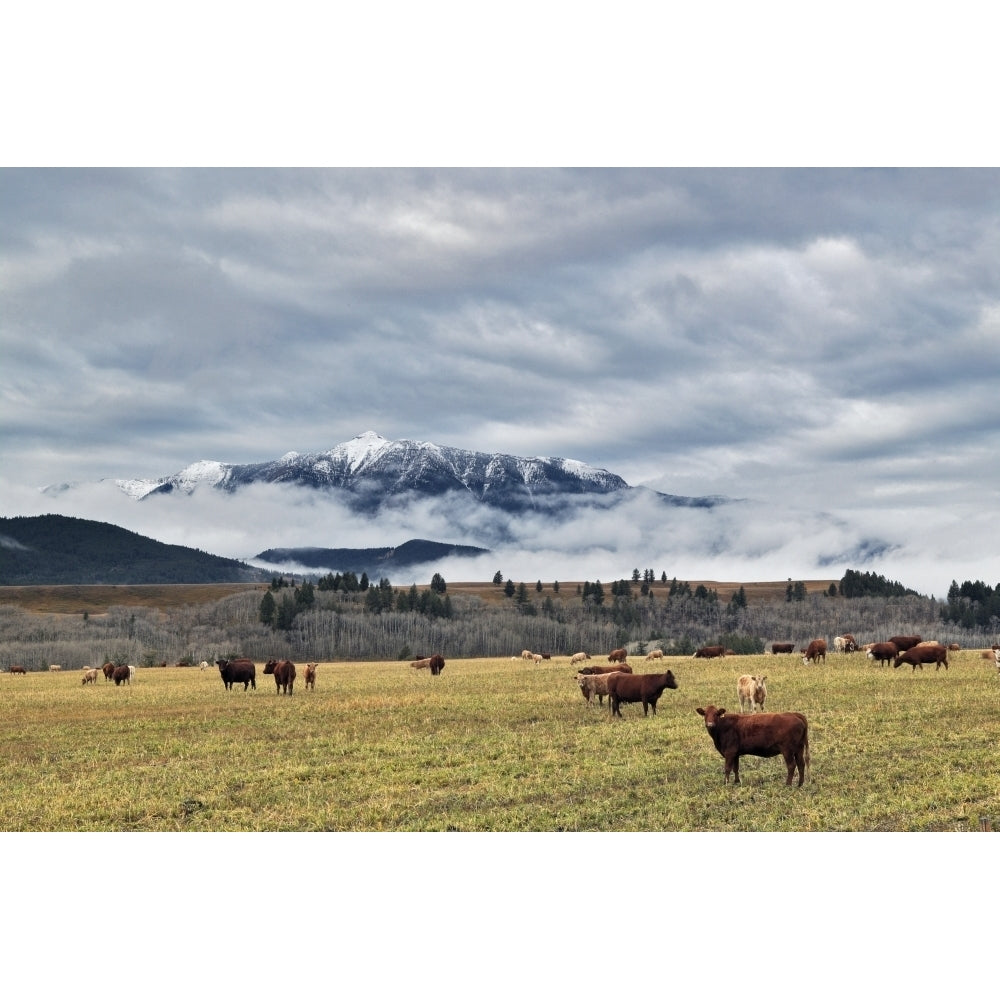 Livingstone Range And Pastureland Along The Oldman River Near Maycroft Alberta. Poster Print Image 2