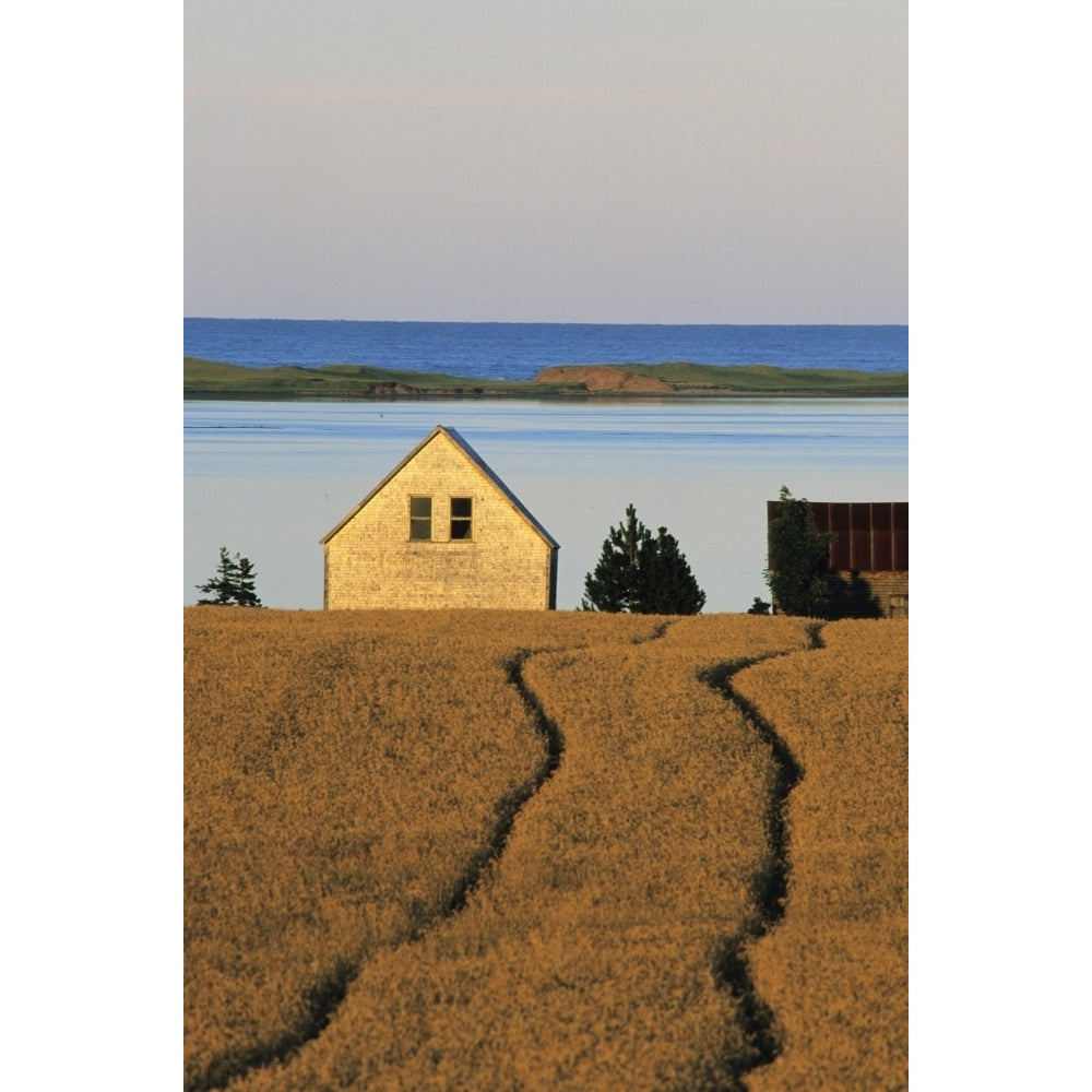 Farmland Queens County Prince Edward Island. Poster Print Image 2