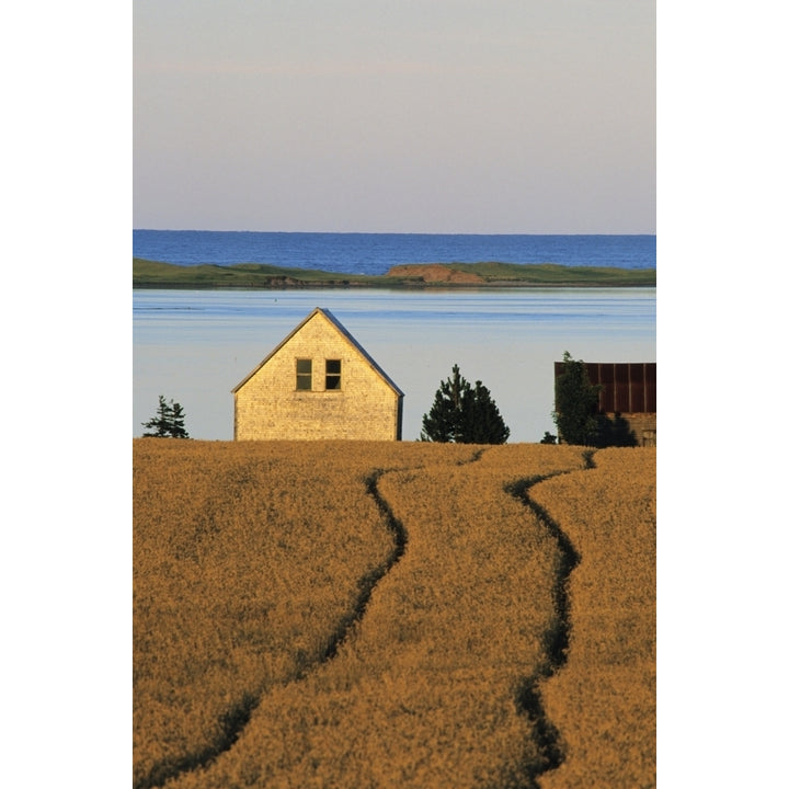 Farmland Queens County Prince Edward Island. Poster Print Image 1