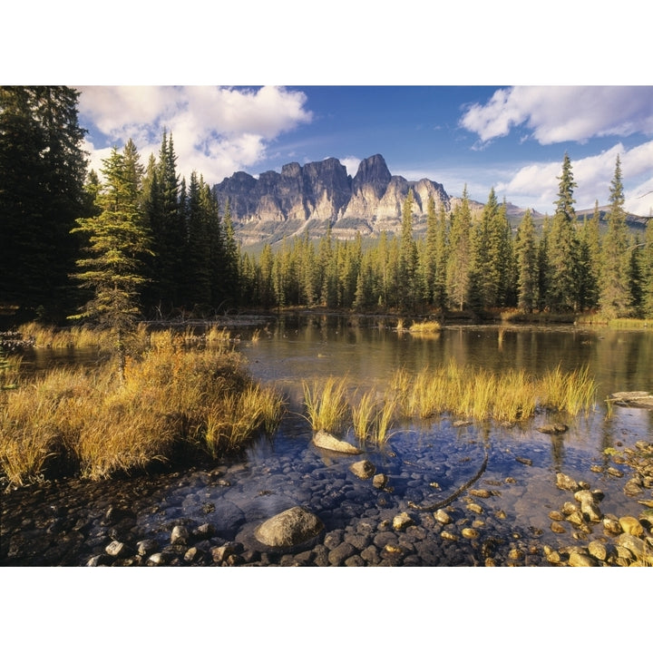 Bow River And Castle Mountain Banff National Park Alberta Canada. Poster Print Image 1