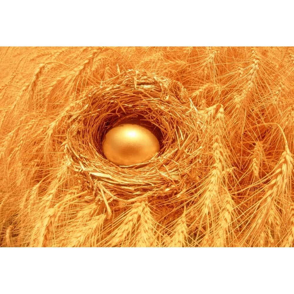 Wealth In Agriculture Concept Golden Egg In Wheat Field Poster Print Image 2