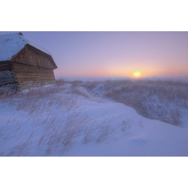 Sunrise On Abandoned Snow-Covered Homestead -40 Celsius Alberta Prairie Poster Print Image 2