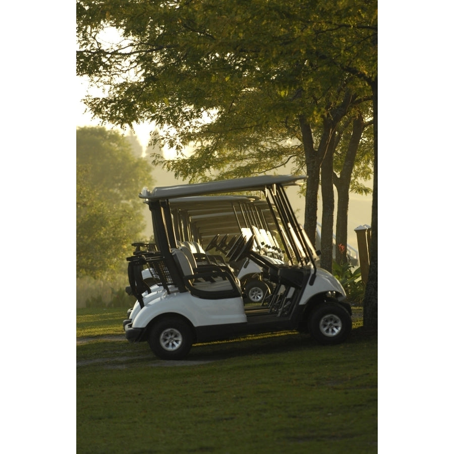 Golf Carts In Early Morning At A Golf Club Newmarket Ontario Poster Print Image 1