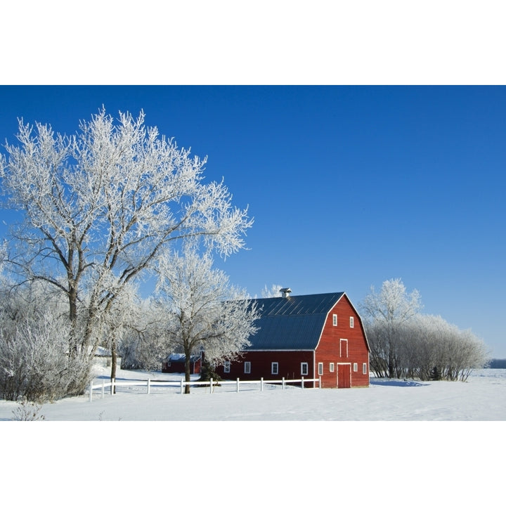 Hoarfrost And Red Barn Grande Pointe Manitoba Poster Print Image 2