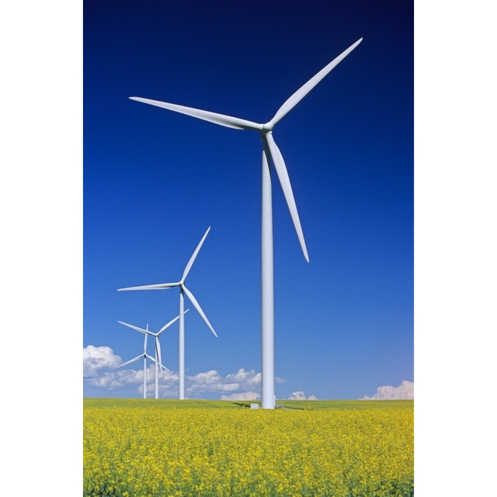 Wind Turbines In Canola Field Near St. Leon Manitoba Poster Print Image 1