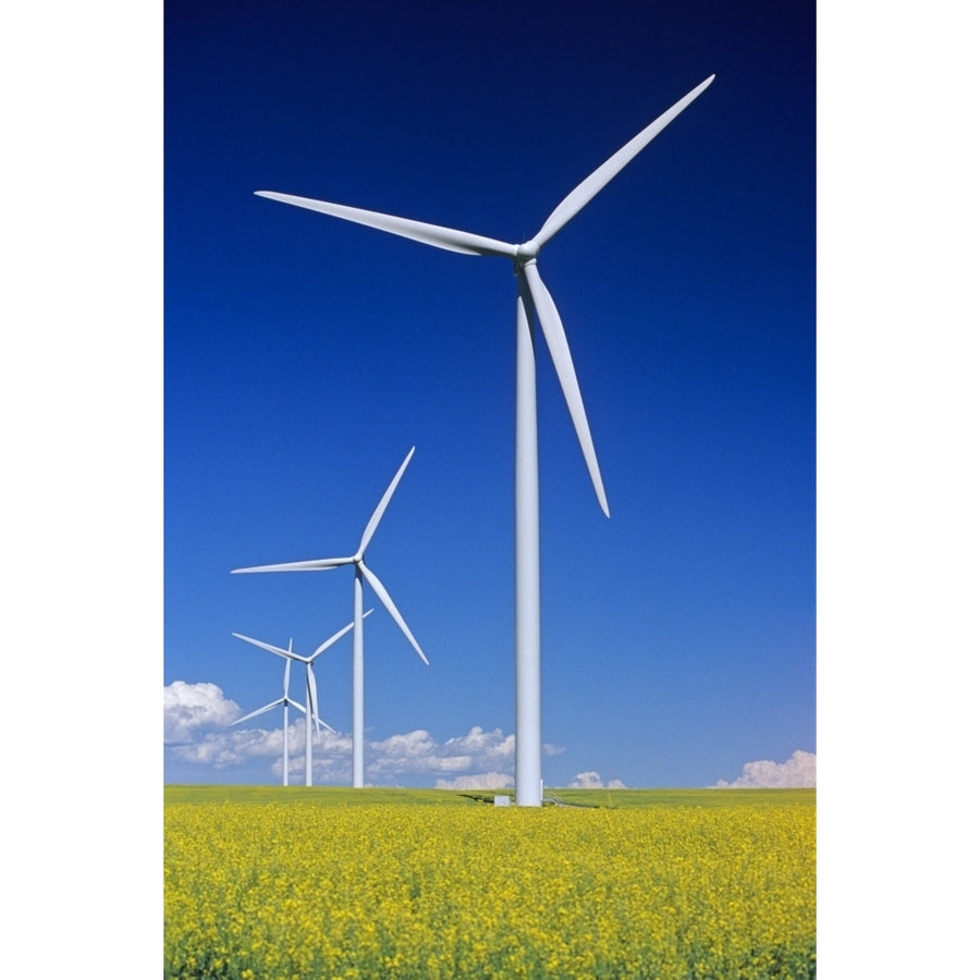 Wind Turbines In Canola Field Near St. Leon Manitoba Poster Print Image 1