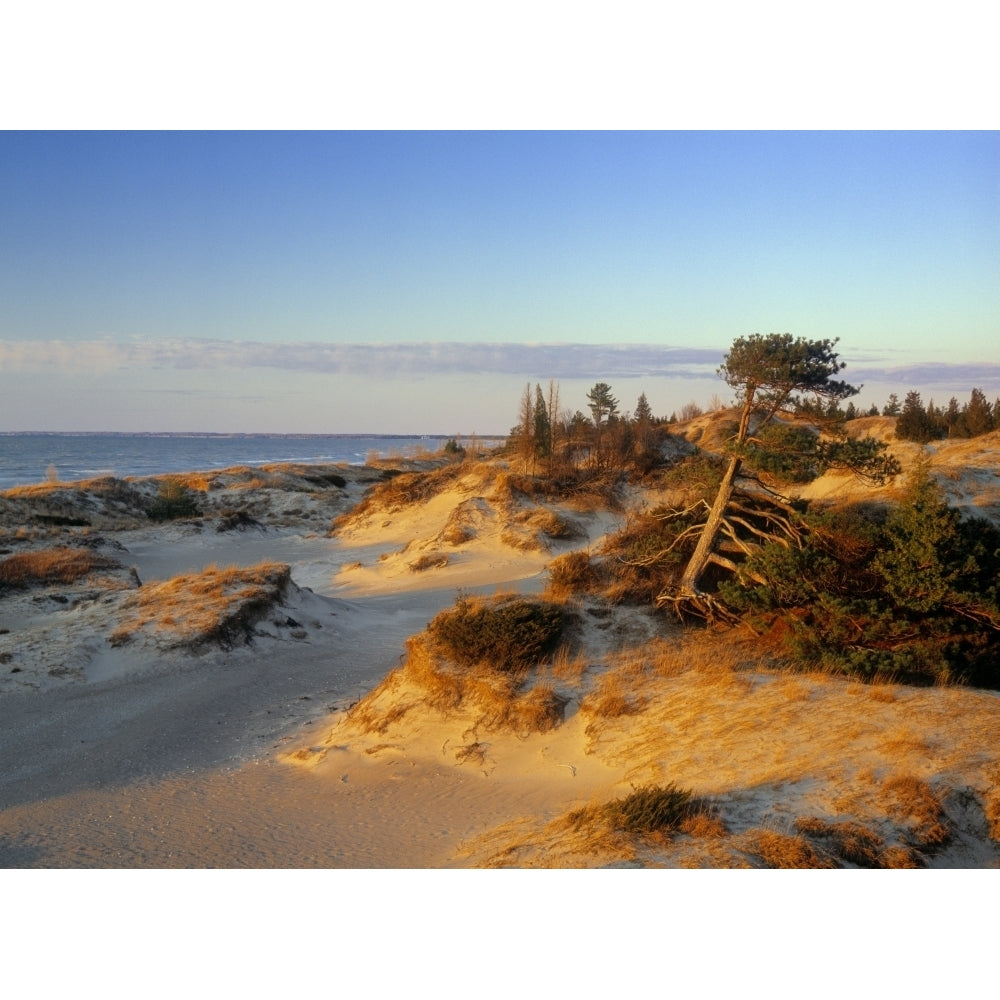 Sand Dunes At Sunset Lake Huron Pinery Provincial Park Ontario Canada Poster Print Image 1