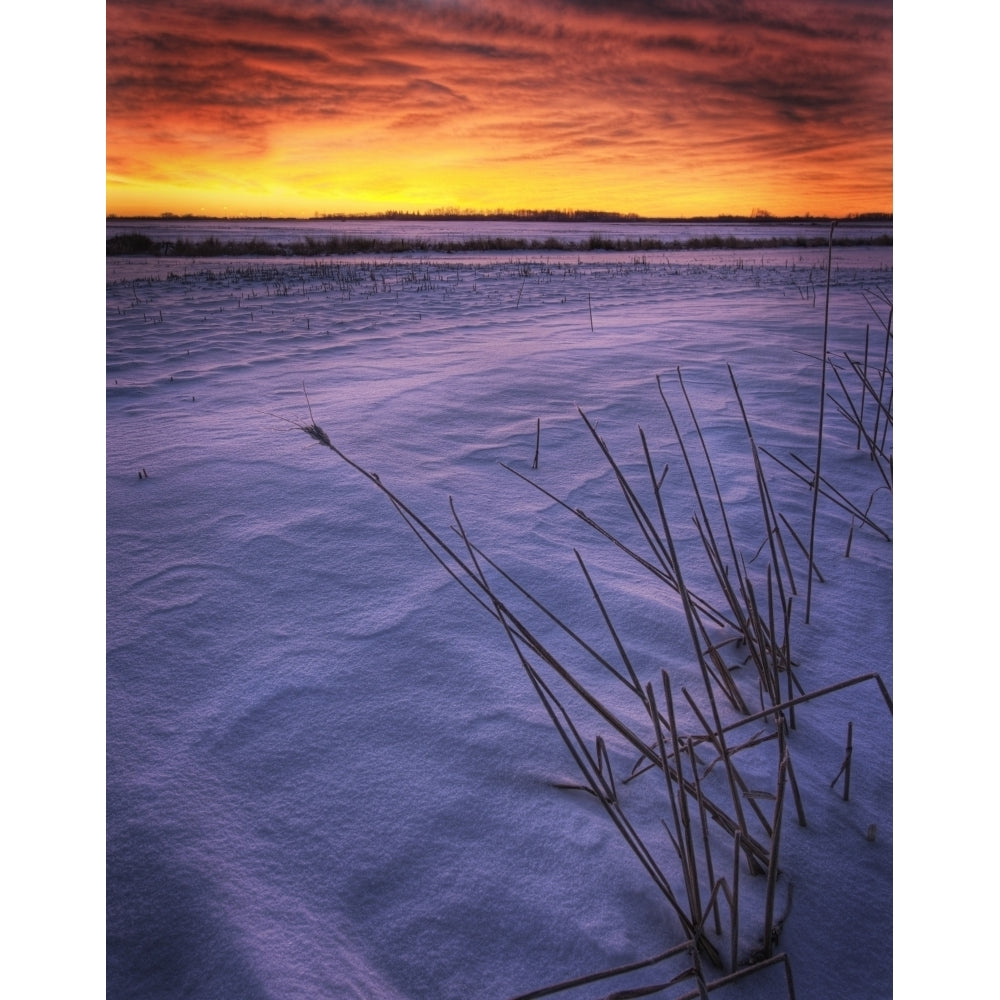 A Golden Winter Sunrise Over Drifted Snow Alberta Poster Print Image 2