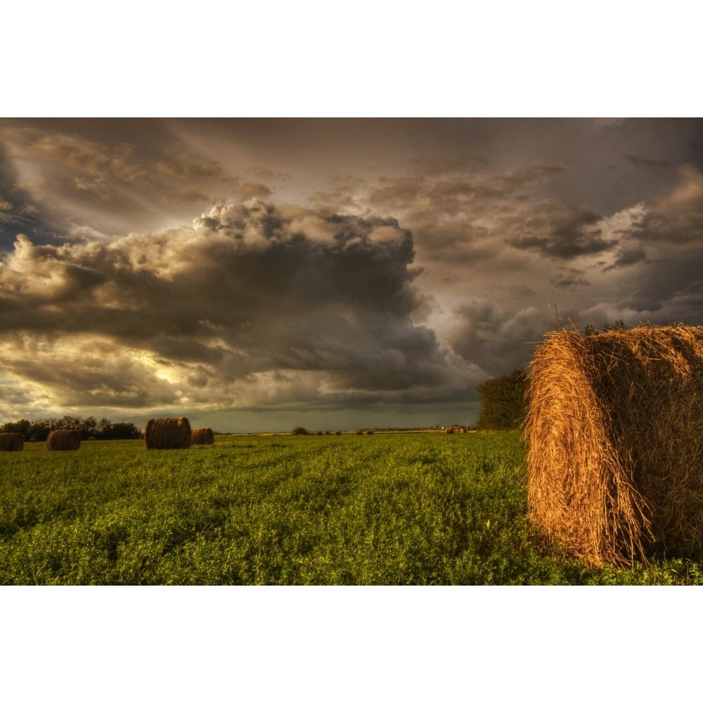 Rolled Hay Bales Under Storm Clouds On A Farm North Of Edmonton Alberta. Poster Print Image 2