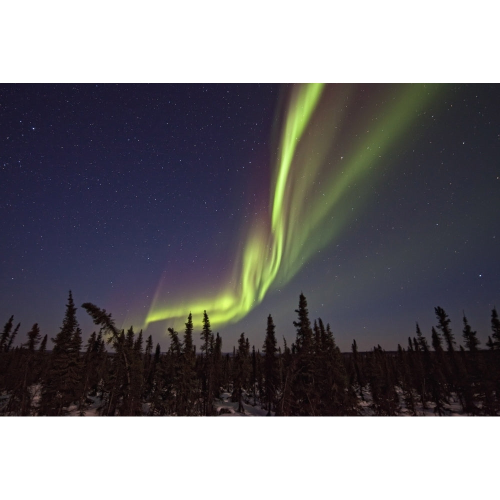 Aurora Borealis Or Northern Lights Over The Eagle Plains Dempster Highway Yukon. Poster Print Image 1