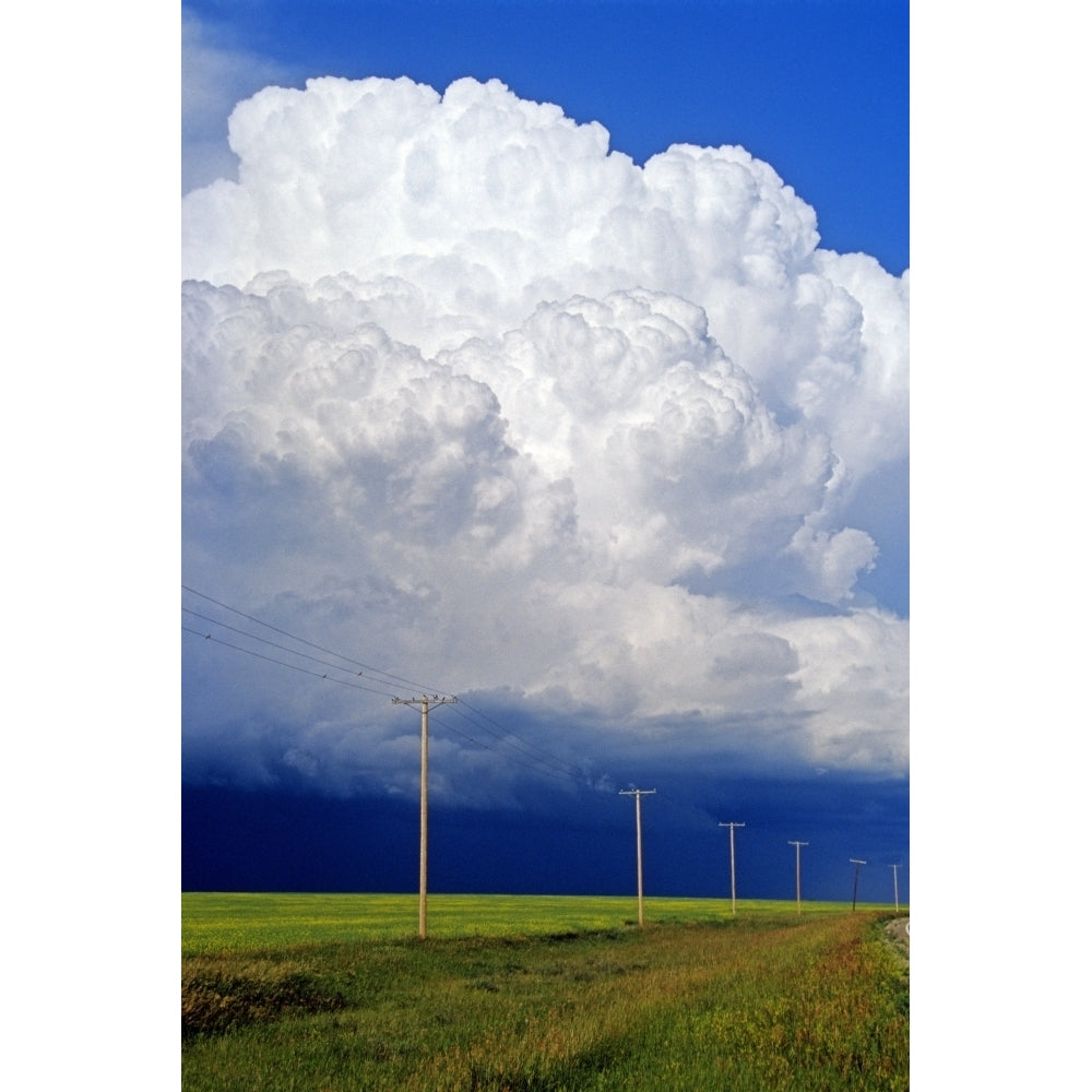 Power Lines With A Cumulonimbus Supercell Cloud Mass Near Bromhead Saskatchewan Poster Print Image 1