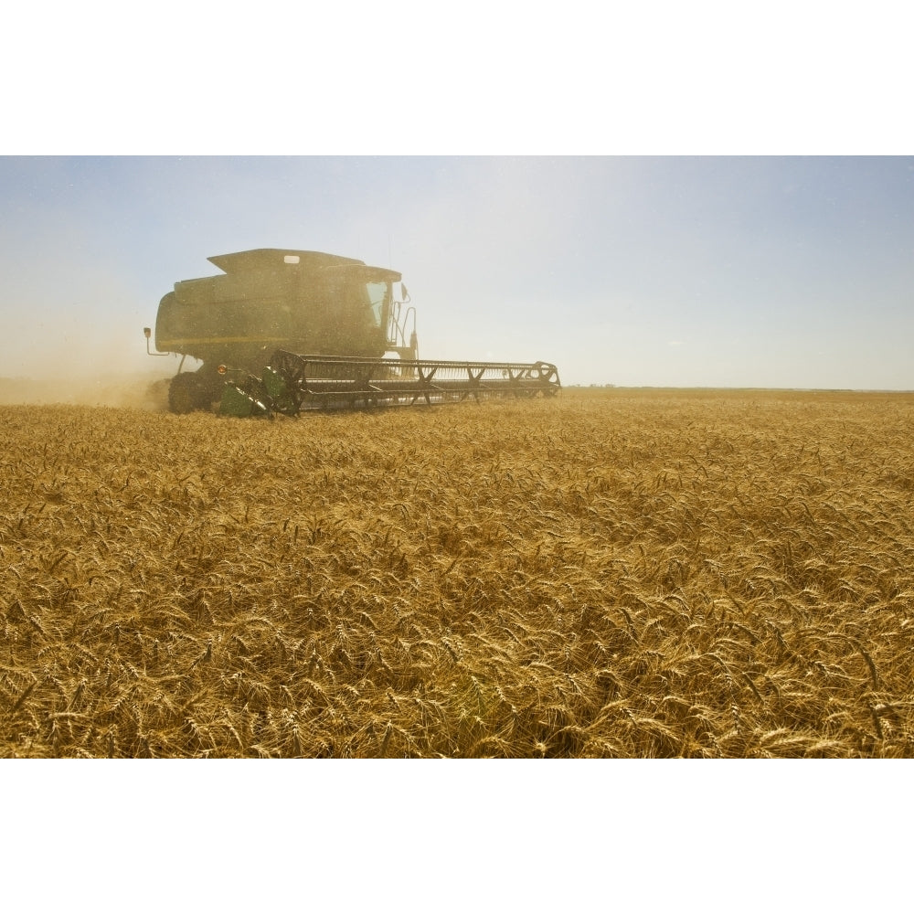 A Combine Harvester Works A Field Of Winter Wheat Near Nesbitt Manitoba Poster Print Image 1