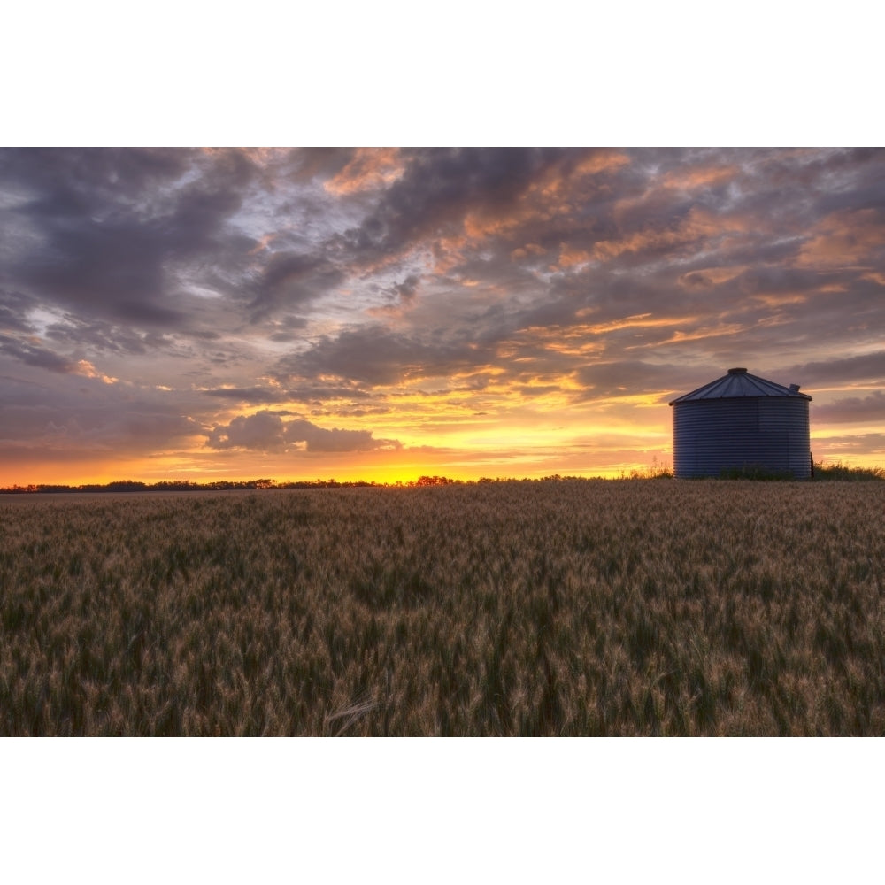 Sunrise Over A Barley Field And Grain Silo On A Farm In Central Alberta Poster Print Image 2