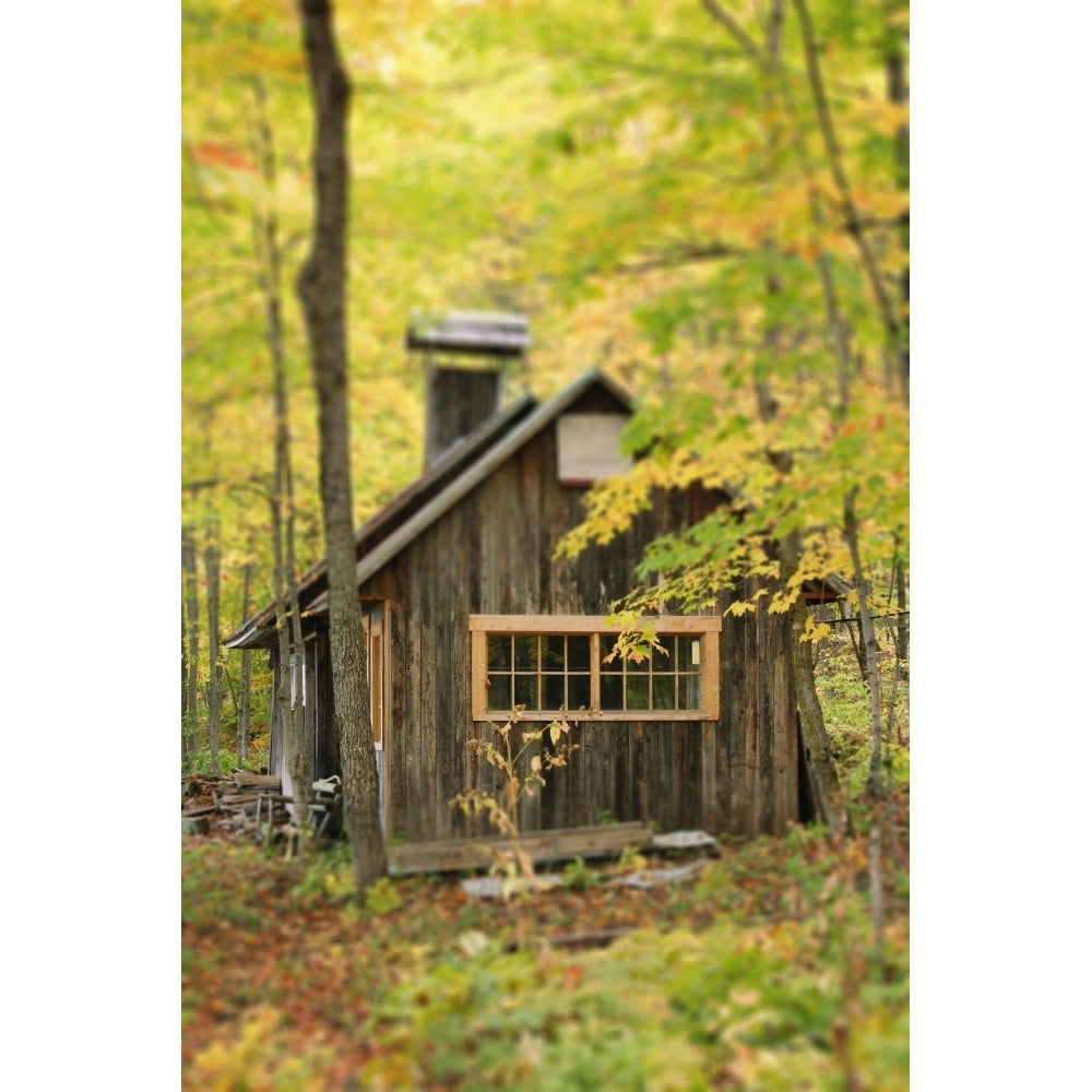 Sugar Cabin In Autumn Kamouraska Village Bas-Saint-Laurent Region Quebec Poster Print Image 1