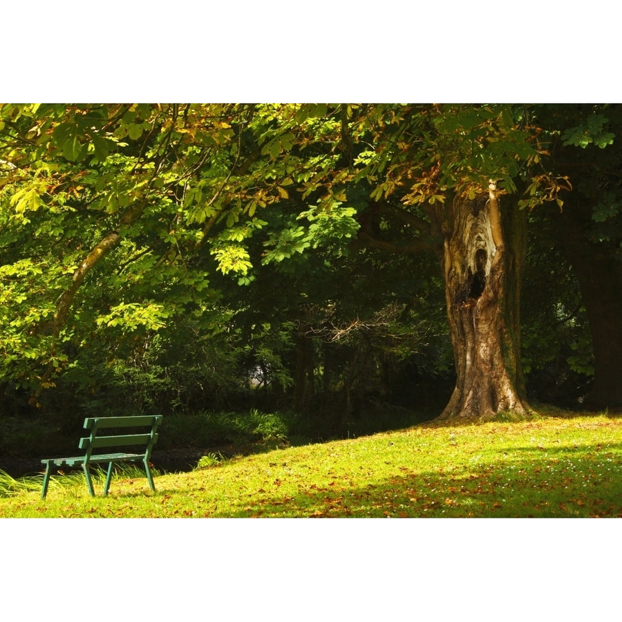 Park Bench Beside The Owenriff River In Oughterard Village; County Galway Connacht Region Ireland Print Image 1