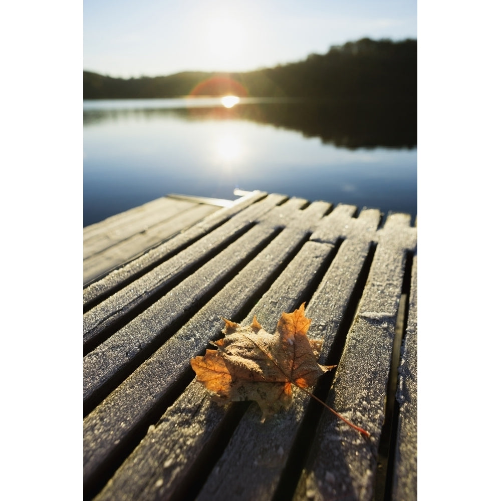 Sunrise Over Leaf On Floating Dock In Mont-Saint-Bruno National Park; Quebec Canada Poster Print Image 2