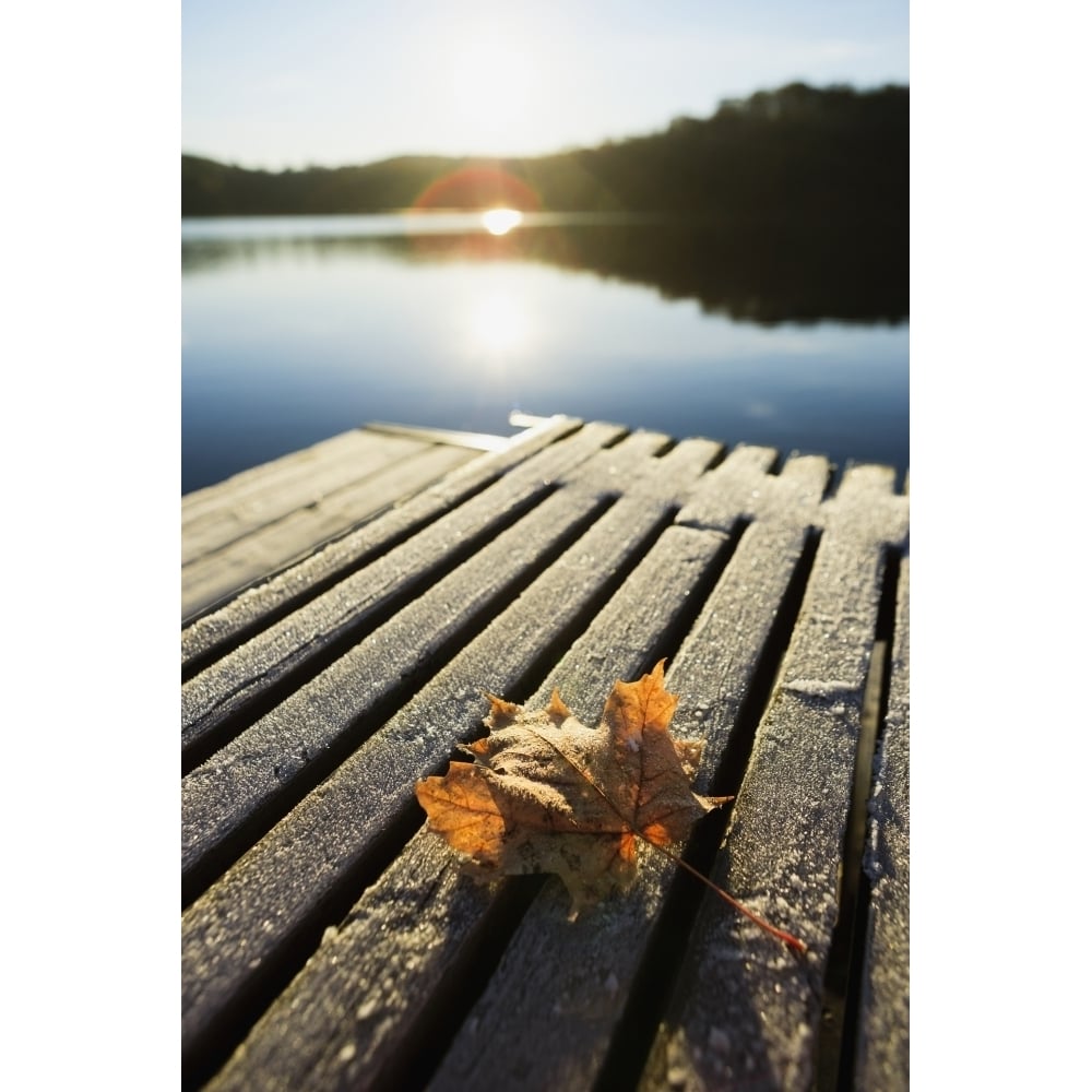 Sunrise Over Leaf On Floating Dock In Mont-Saint-Bruno National Park; Quebec Canada Poster Print Image 1