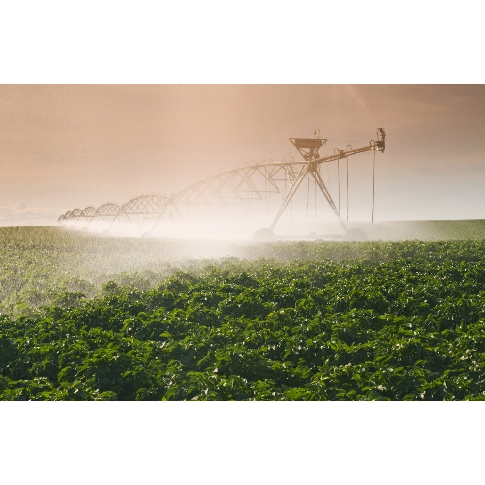 A Center Pivot Irrigation System Watering Potato Crop; Tiger Hills Manitoba Canada Poster Print Image 2