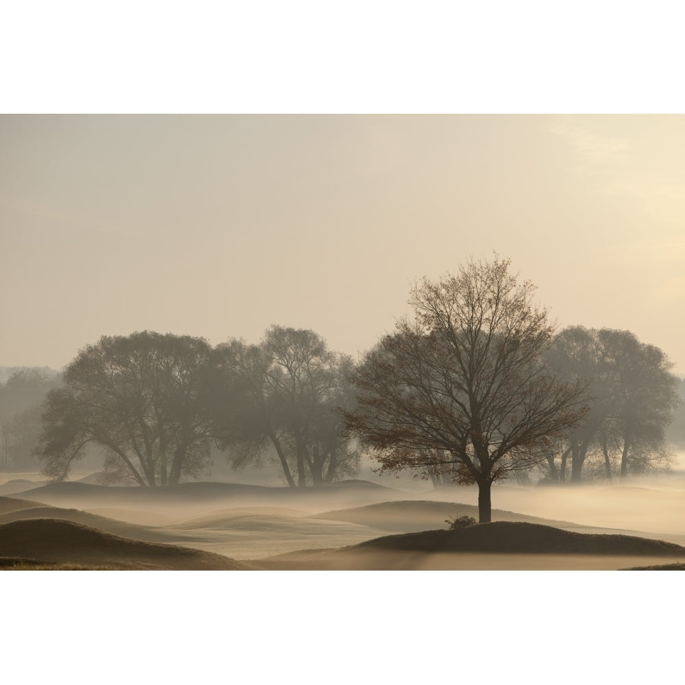 Trees On Golf Course At Sunrise On A Misty Autumn Morning; Caledon Ontario Canada Poster Print Image 2