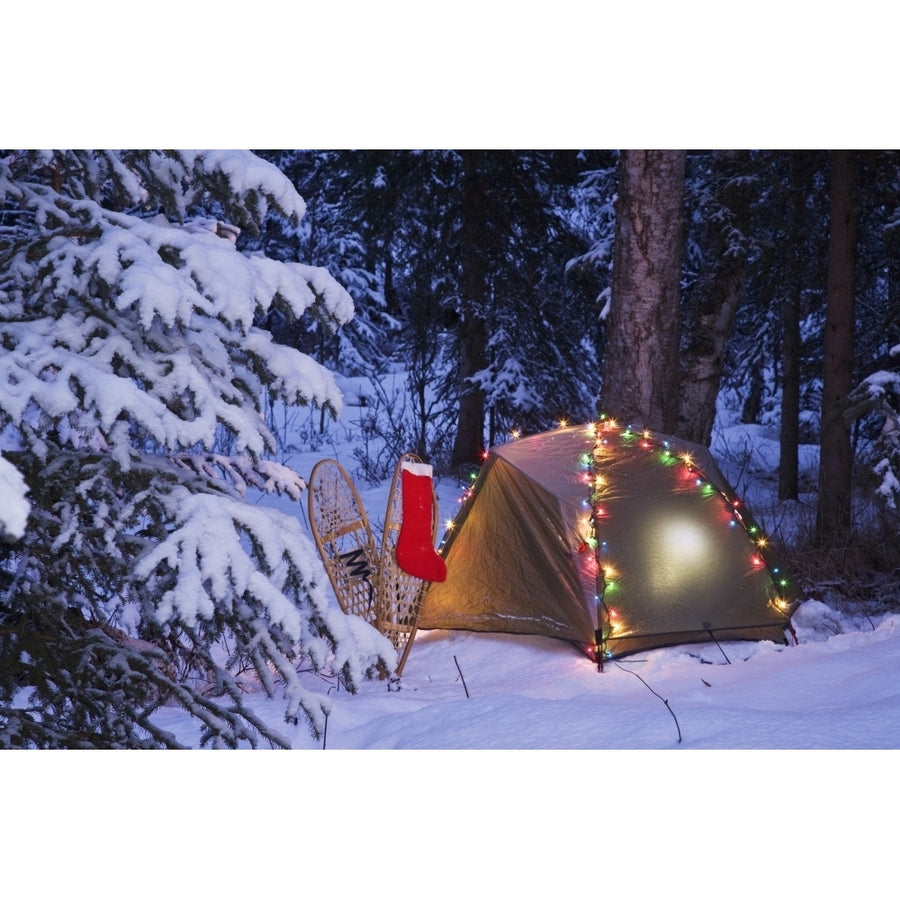 A Tent Is Set Up In The Woods With Christmas Lights And Stocking Near Anchorage Alaska by John Delapp / Design Pics Image 1