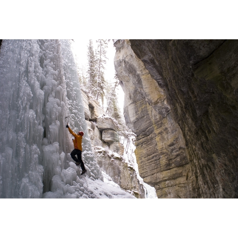 Female Climber Explores Ice Climbing In The Narrows Of Maligne Canyon In Jasper National Park Alberta Canada Poster Pr Image 2