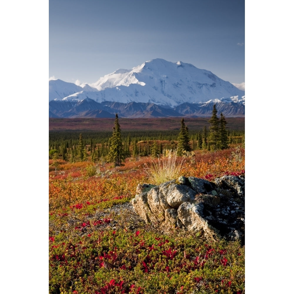 Scenic View Of Mt. Mckinley During Autumn Denali National Park Interior Alaska Poster Print Image 1