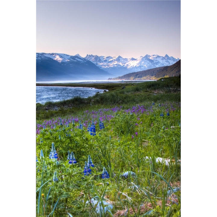 Field Of Wildflowers Near Haines Southeast Alaska Summer Hdr Image Poster Print Image 1