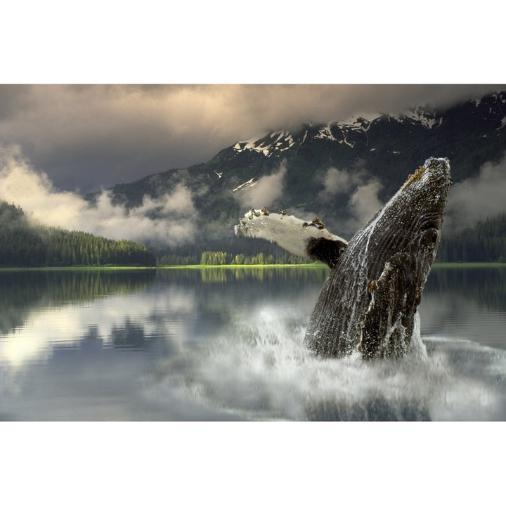 Humpback Whale Breaching Southeast Ak Digital Image Summer Portrait Composite by Ron Sanford / Design Pics Image 1