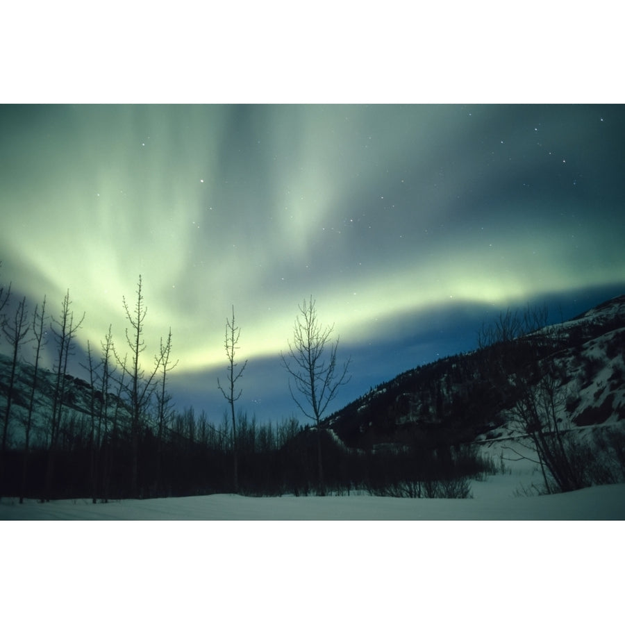 Northern Lights Winter Alaska by Tom Soucek / Design Pics Image 1