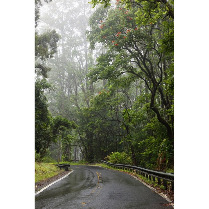 Hawaii Maui The lush Road To Hana. Poster Print Image 1