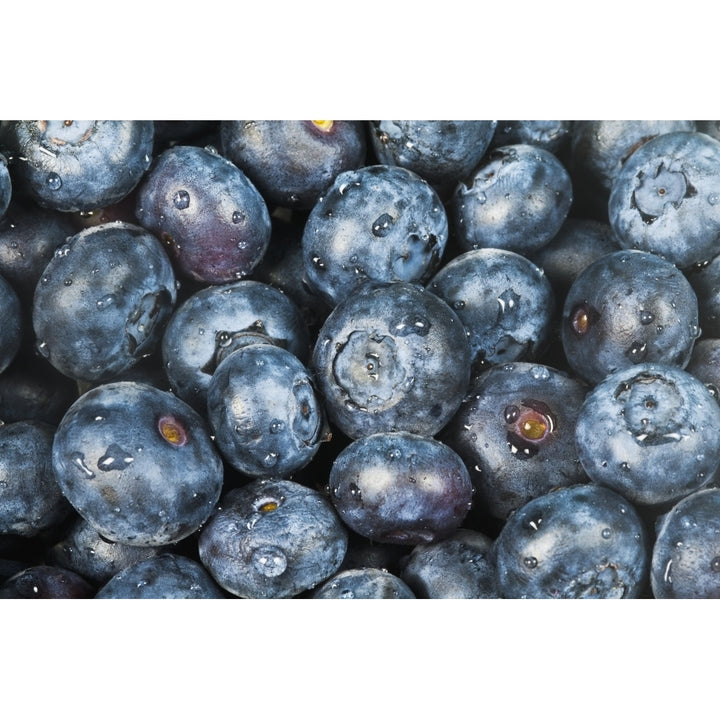 Close up shot of several fresh blueberries. Poster Print Image 1