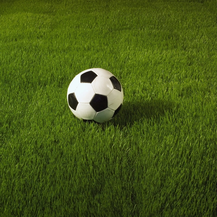 Soccer Ball On Grass Poster Print Image 1