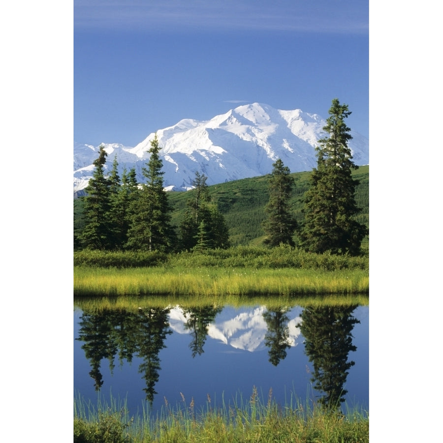 Mt Mckinley Reflecting In Nugget Pond Denali National Park Interior Alaska Summer Poster Print Image 1